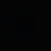 user19790421