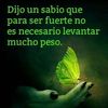 juanvasquez9195