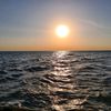 dauren_3035kz
