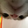 eric_6996exy
