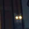 sleepy_coffee0