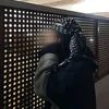 aafrraae