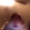 ryan503_