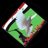 3_shbil