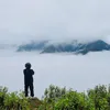 chamsocotohaiduonghd