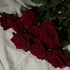 ammmmosh_12
