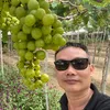 doquangtu_76