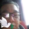 ongchinhock2