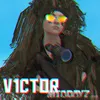v1ct0rn3v3r3nds