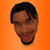 Rondresilk