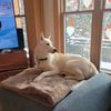 nalathealaskan