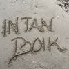 intanboik1907