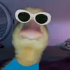 boiifc
