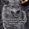 luisramongrajeda