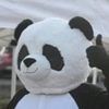 badpandadude