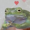 alison.froge