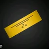 fsnous2