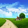 ahmed.gasem4