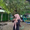 fitriagustina5569