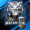 macan_tua