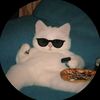 noturavgboy