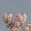 nhugiocuondi03