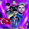 s2gforzagfb