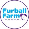 FurballFarmCatSanctuary