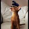 captainmeow01