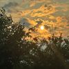 joe_kestel
