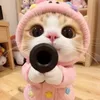 meow_8928