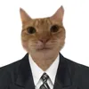 Gatinho Cristão