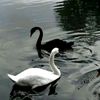 hager.namir