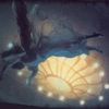 starrymermaid19