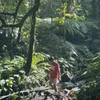 samvillo0