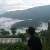 its__me__papular