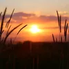 anak_senja27