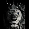rano_1012