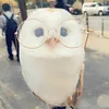 liainspace