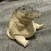 rynxow