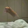 mynameis_tangerine