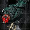 blackvenom564