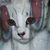 Кошачья жопка