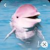 lidysa37