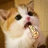 acquyfifaiii9