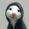 riki.nishimura78