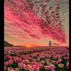 7_cxzn