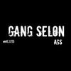 story.ags13
