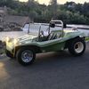 thegreenbuggy
