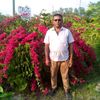 amirhossan0066
